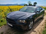 Dodge Charger RT AWD V8 5.7 Hemi  - Dodge Charger aus 2014