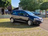 Volkswagen Golf Plus 2.0 TDI Comfortline + Vollausstattung  - Volkswagen Golf Plus Comfortline mit Diesel-Antrieb