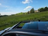 BMW E91 Touring  | TÜV Neu | Panorama |  - BMW 318: E91