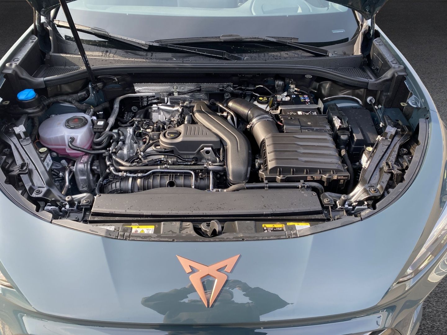 Fahrzeugabbildung CUPRA Terramar 1.5 eTSI 110 kW EU6e digitales Cockpit