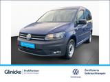 Volkswagen Caddy Kombi 1.0 TSI Klima SHZ H.flügeltüren NSW - VW Caddy Gebrauchtwagen in Kassel