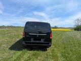 Mercedes-Benz V250d Avantgarde Edition extral. 360° Burmester - Mercedes-Benz V 250 in Halle