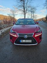 Lexus NX 300h - Lexus NX-Serie von privat