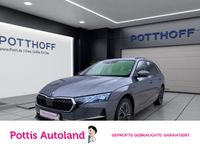 Skoda Octavia - Vorschau Bild 1