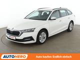 Skoda Octavia 2.0 TDI Ambition Aut.*LED*TEMPO*PDC*SHZ* - Skoda Octavia aus 2024
