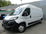 Fiat Ducato 35 Kasten L4H2 NAVI/KAMERA/KLIMAAUTOM. - Fiat Ducato in Berlin