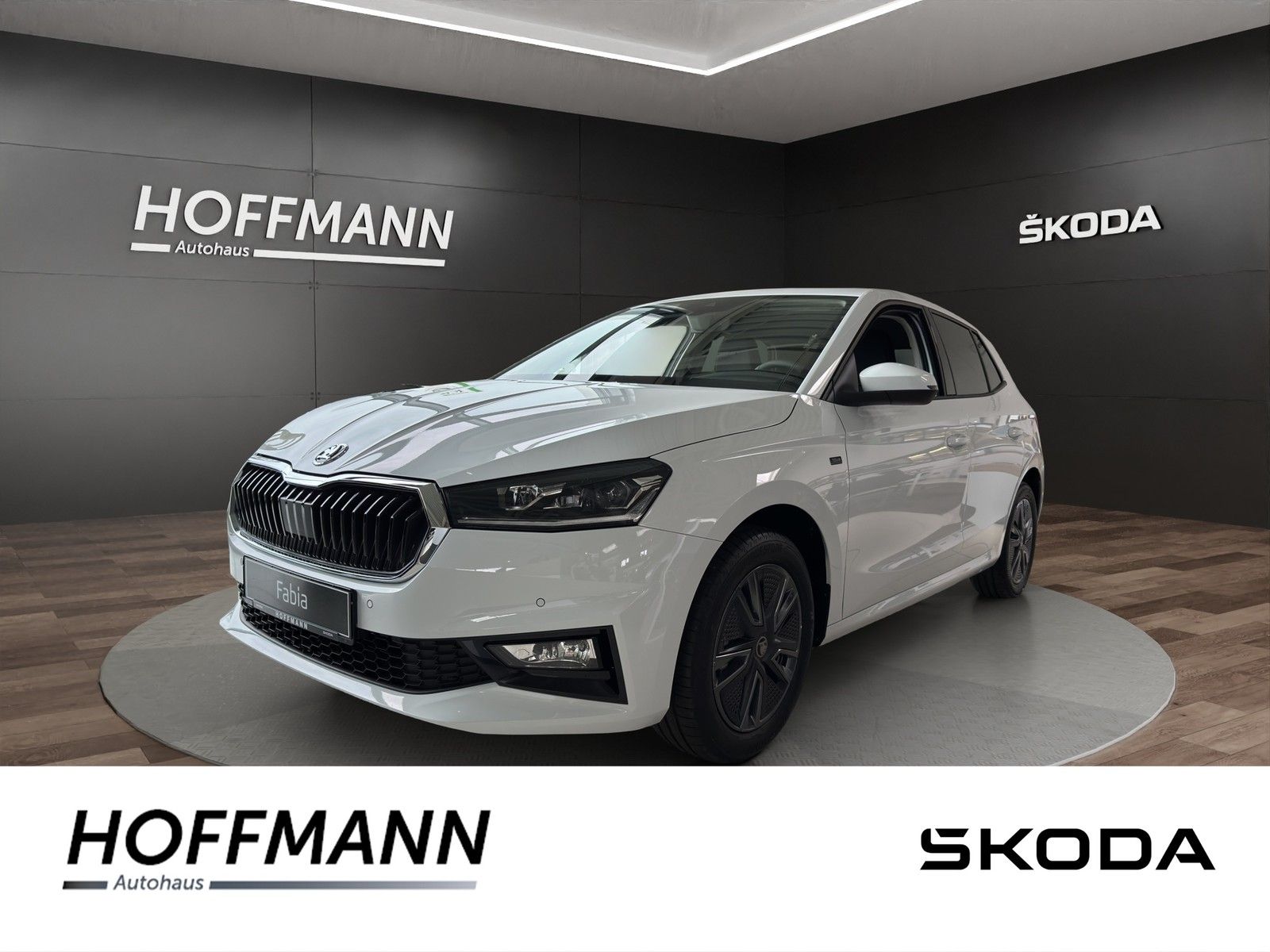 Fahrzeugbild von Skoda Fabia