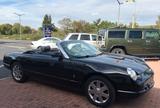 Ford Thunderbird - Ford Thunderbird mit Benzin-Antrieb: Cabrio
