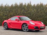 Porsche Cayman 2.9Ltr-Aut.-Navi-Leder Braun-Bi Xenon-PDC - Porsche Cayman Gebrauchtwagen