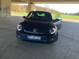 Volkswagen VW Beetle gepflegt - Volkswagen Beetle