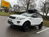 Land Rover Range Rover Evoque 2.2 SD4 Pure Pure - gebrauchte Land Rover Range Rover Evoque aus dem Jahr 2011