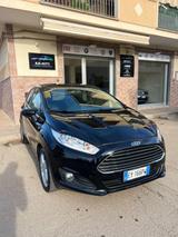 Ford Fiesta 1.5 TDCi 75CV 5 porte Black & White  - Ford Fiesta: Black
