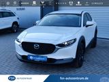 Mazda CX-30 2.0 150PS Selection - Alle Pakete - - weiße Mazda CX-30