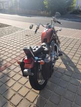 Suzuki VS 800 GL Intrudor mit neuer HU/AU u. Inspektion - Offers matching your search criteria