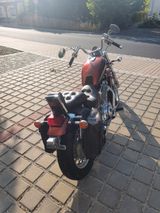 Suzuki VS 800 GL Intrudor mit neuer HU/AU u. Inspektion - Angebote entsprechen deinen Suchkriterien
