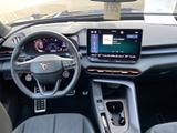 Cupra Terramar 1.5 eTSI mHEV*HeadUp*360Grad*ACC - Cupra Terramar: Automatik
