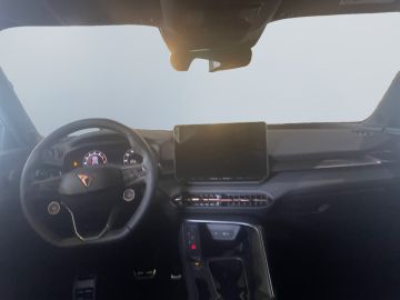 Cupra Terramar - 10