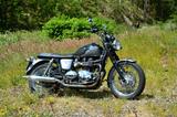 Triumph Bonneville T100 EFI - Offers