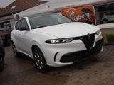 Alfa Romeo Tonale Tributo Italiano 1.5 VGT vom AR Vertragsh - Alfa Romeo: Tr