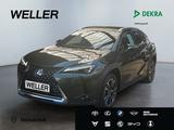 Lexus UX 250h Style Edition *LED*ACC*RCam*SHZ*CarPlay*