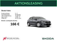 Skoda Fabia - Vorschau Bild 1