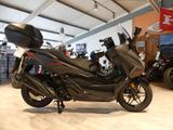 Honda Forza 350 ABS Special Edition incl. Anlieferung