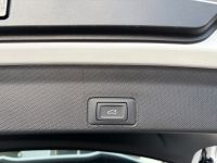 Cupra Terramar VZ 2.0 TSI DSG 4Drive 5J GAR *AKTION* bei Autohaus Landmann & Maier OHG
