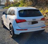 Audi Q5 3.0 TDI S tronic quattro - - Audi Q5 mit Diesel-Antrieb: Weiß