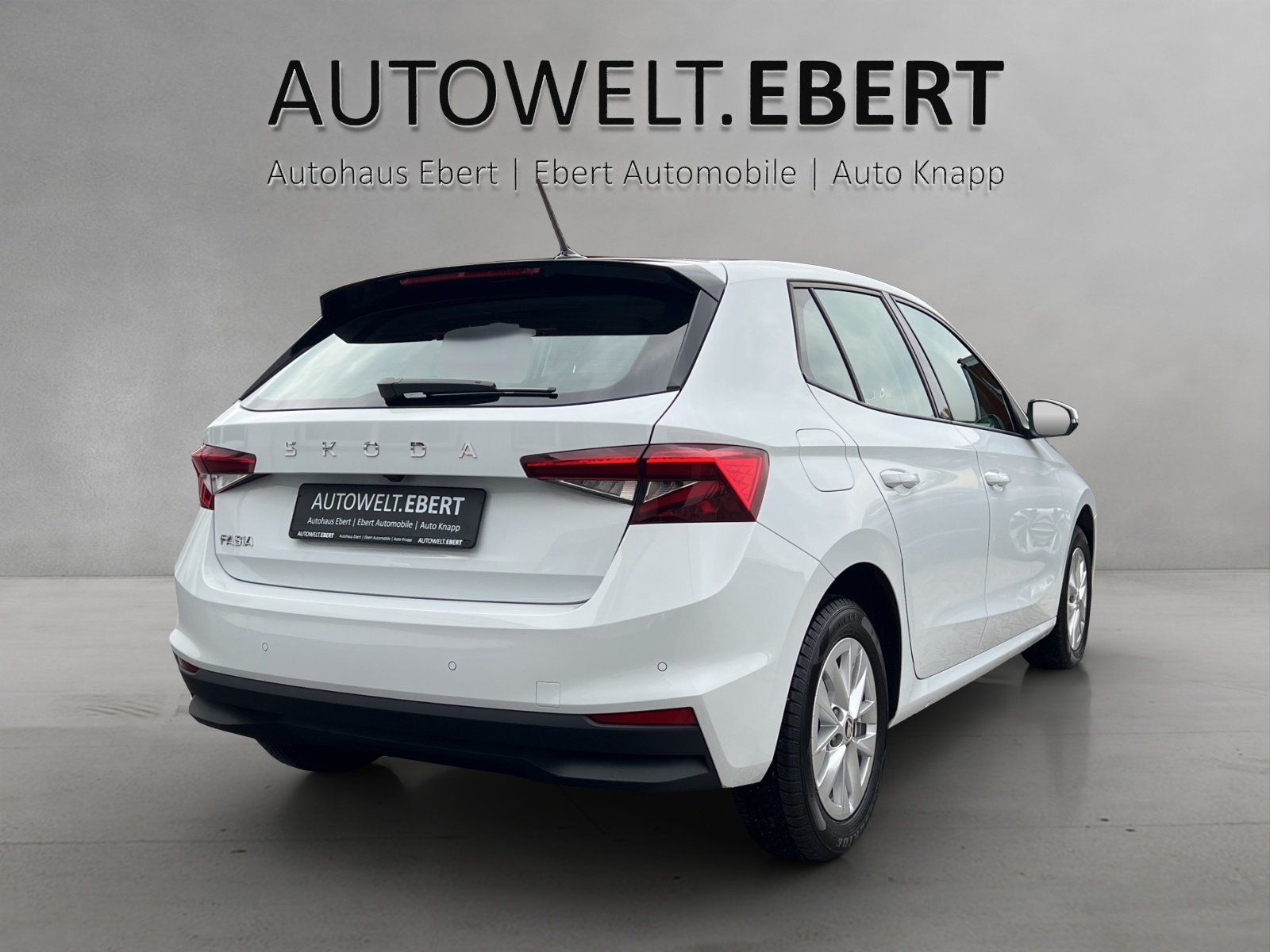 Fahrzeugabbildung SKODA Fabia 1.0 TSI Selection DSG/KAMERA/ACC/SHZ/