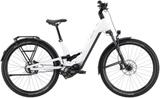 BULLS VUCA EVO FS 1 S - BULLS E-Bikes