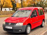 Volkswagen Caddy Life Gewinner Caddy. 1er Hand. Scheckheftg - Volkswagen Caddy: Gewinner