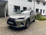 Lexus NX 300h E-Four Executive Line*Panorama* - Lexus in Hamburg: Nx