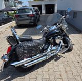 Suzuki VL800 - Angebote entsprechen deinen Suchkriterien