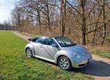 Volkswagen New Beetle 1.6 Cabriolet - - Volkswagen New Beetle aus 2008