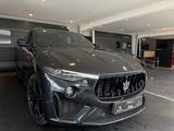 Maserati Levante Trofeo Panorama Carbon - Maserati Levante in Dortmund