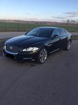Jaguar XJ L Premium 3.0 V6 Diesel S + Bildschirme - Jaguar XJ mit Diesel-Antrieb: 6.3