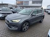 Seat Tarraco Xcellence 4Drive 7 Sitzer-Panorama - Seat Tarraco mit Panoramadach