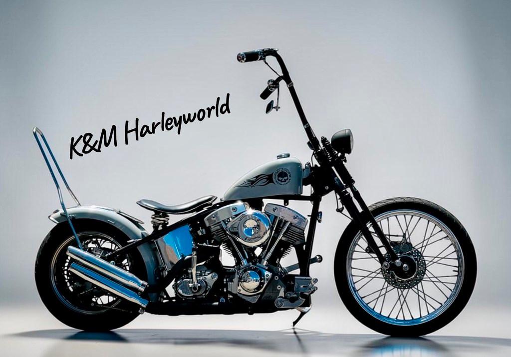 Harley-Davidson Panhead Anschauen lohnt sich immer!