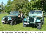 Jeep CJ5 V8 Golden Eagle,orig33tmls!Erstlack!Survivor - Jeep CJ: T