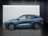 Ford Kuga 1.5 EcoBoost ST-LINE X - gebrauchte Pickups