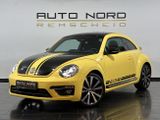 Volkswagen Beetle 2.0 TSI*GSR*DSG*Bi-Xenon*Sonderedition* - Volkswagen Beetle: Automatik