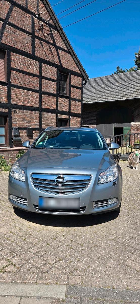Opel Insignia 2010 — rear view