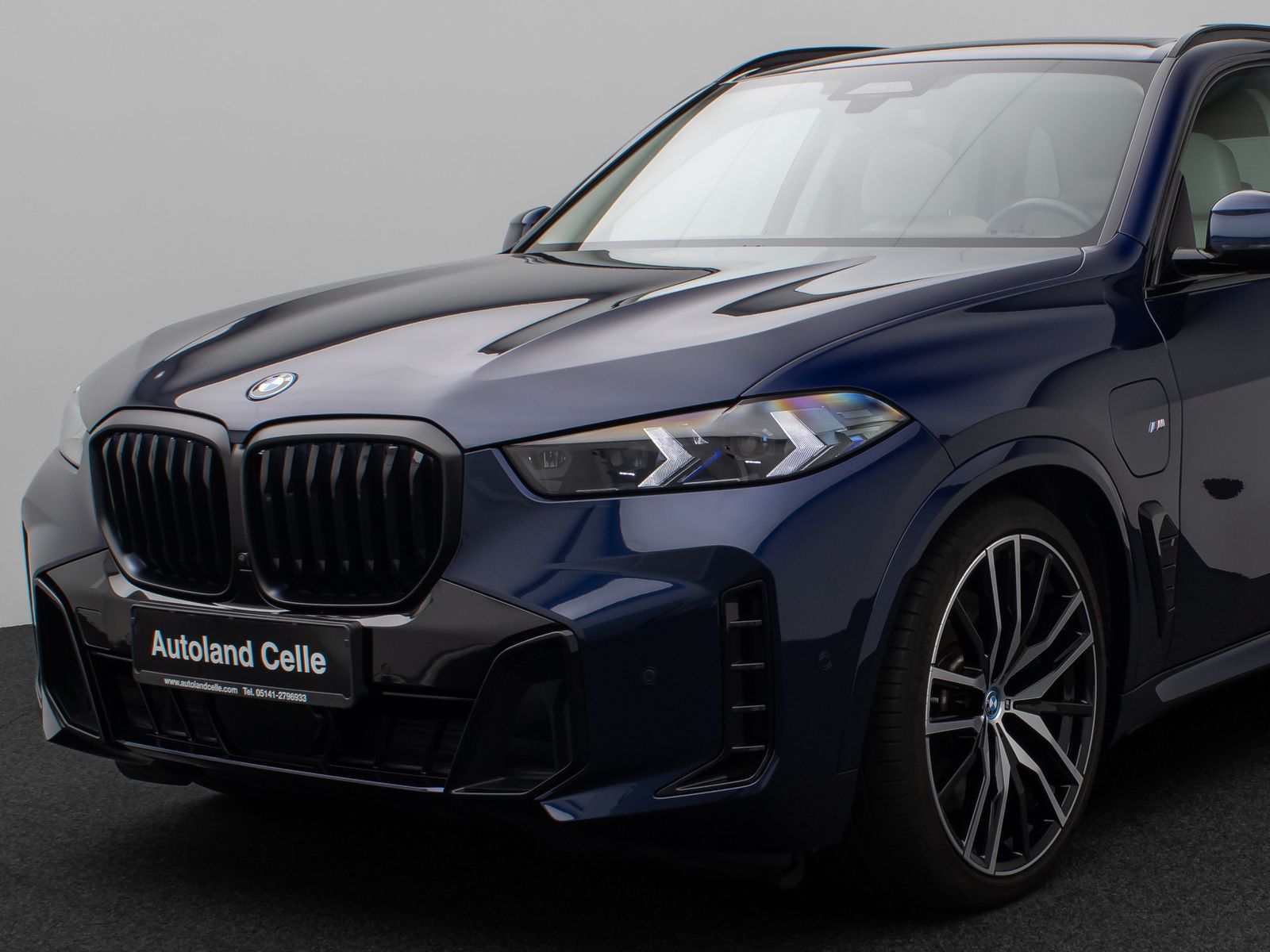 Fahrzeugabbildung BMW X5 xD50e M Sport 360°H/K Panorama Individual 22"