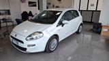 Fiat Punto 1.2 8V 5 porte Easy - Fiat Punto EASY mit Benzin-Antrieb