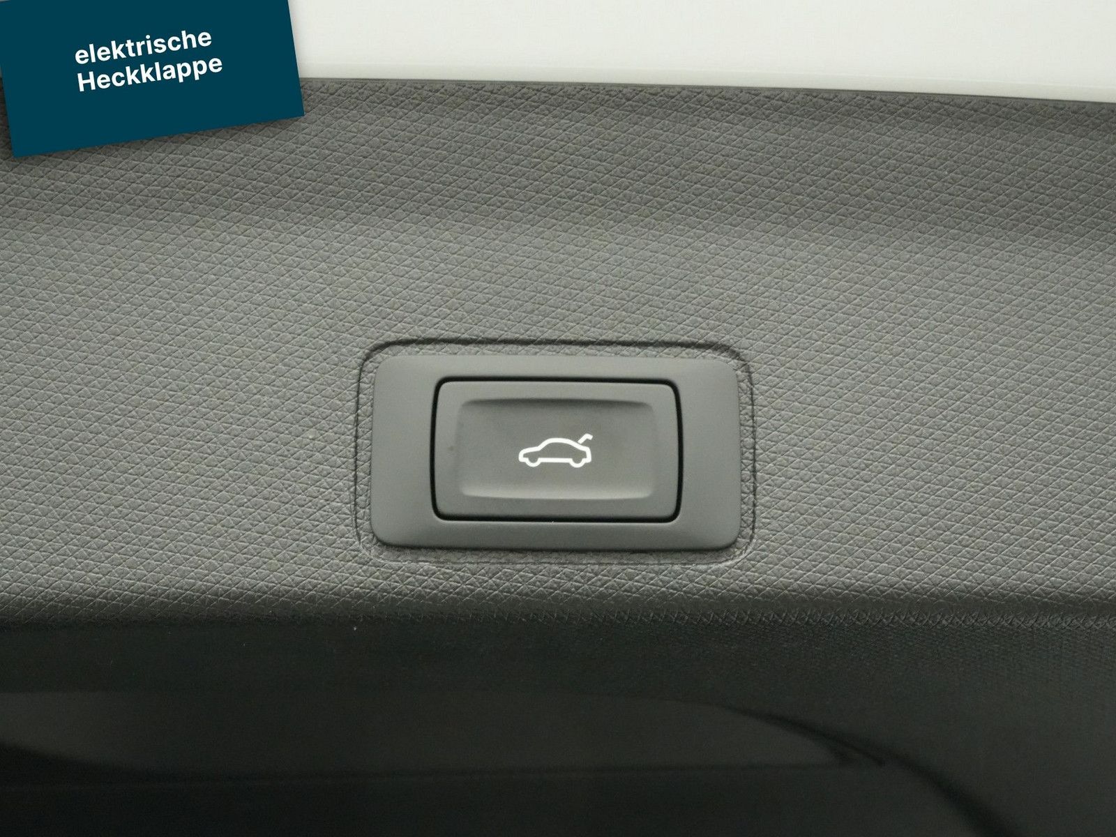 Cupra Terramar - Bild 5