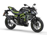 Kawasaki Z125*2026*4-Jahre Garantie*Starterbonus* - KAWASAKI J 125