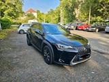 Andere Lexus UX 250H Hybrid - Andere in Leipzig