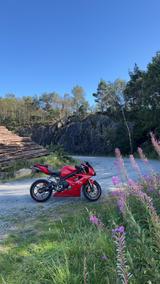 Triumph 675 Daytona - TRIUMPH DAYTONA 675