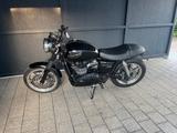 Triumph Bonneville T 100 Sondermodell - TRIUMPH BONNEVILLE T100