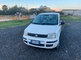 Fiat Panda 1.3 MJT 16V DPF Emotion - Fiat Panda Emotion mit Diesel-Antrieb